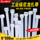 发 束线条固定捆扎带批 新光尼龙扎带6 500勒死狗塑料扣白色自锁式