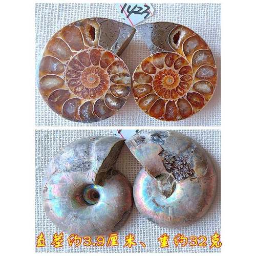高档片开叶物石化石摆件石材动物招菊财全玉化情侣吊坠古生标本99