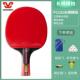 高档乒球拍拍正品 双 初学者三四星单乓拍兵乓球直拍横拍学2祇生装