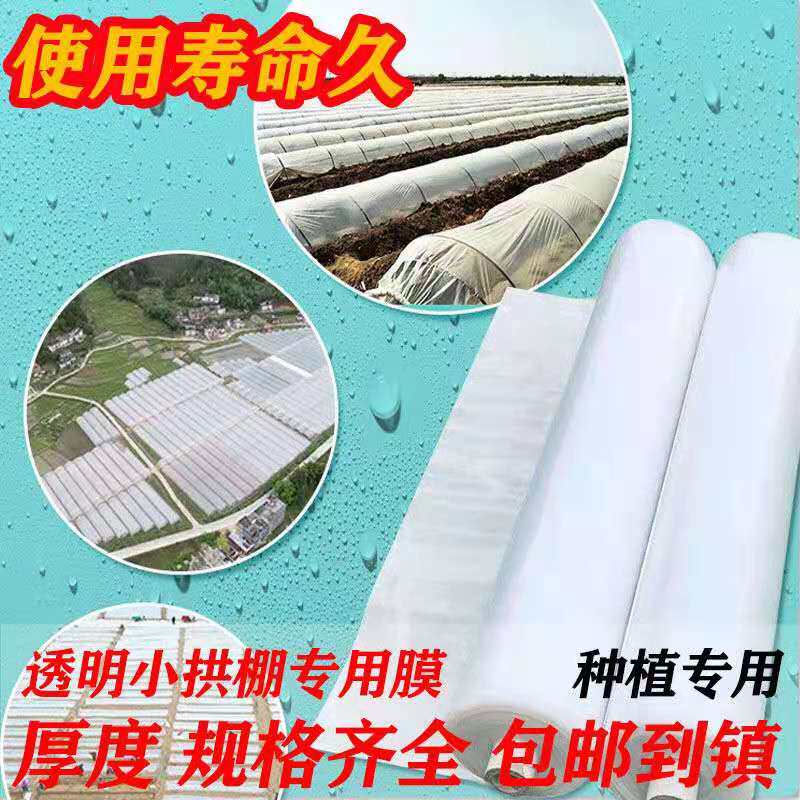 农用种植白色透明塑料薄膜小拱棚保温蔬菜大棚膜地膜二模加厚