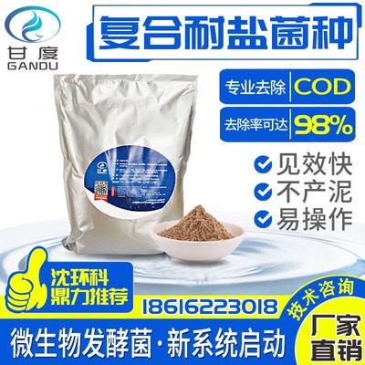 甘度复合菌种耐盐降COD好厌氧生化培养兼氧型低温污水处理生物菌