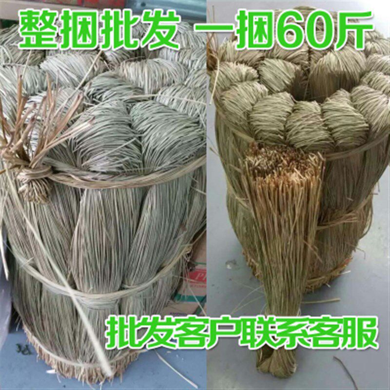 大闸蟹香草 咸水草 捆蟹绳香草马莲草 扎粽子香草 绑大闸蟹香草
