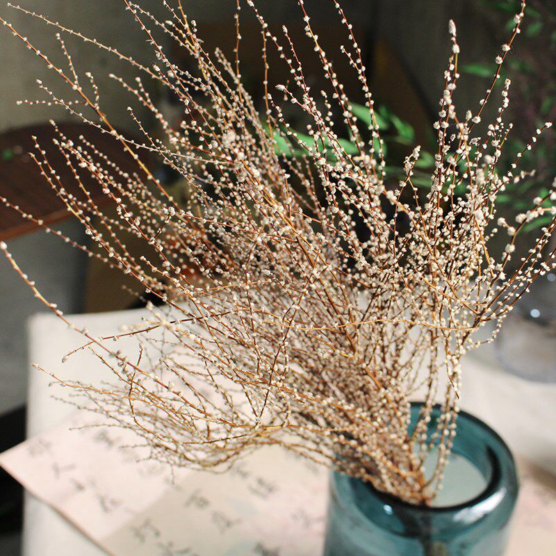 雪草干花永生花装饰真花梦幻树枝软装造景线条摆设插花复古耐放