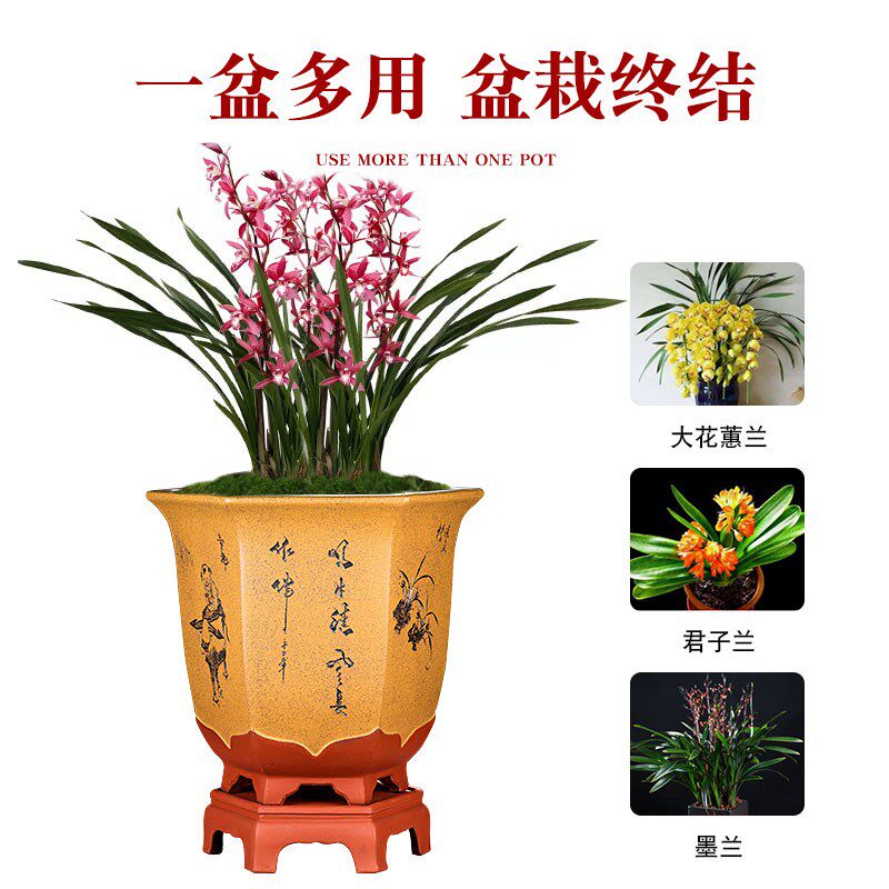 宜兴紫砂花盆陶瓷大号六角室内特大号客厅金弹子紫砂盆景盆带底座