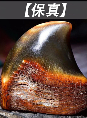 【保真】披毛犀整角装饰品小摆件珍贵收藏精美手把件角角