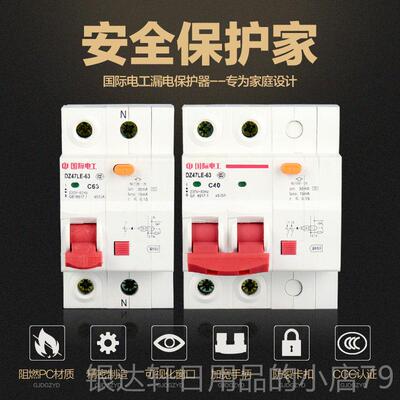 高档国际电工小型家断路器DZ47用电闸/12P63总空气A开关带漏电保