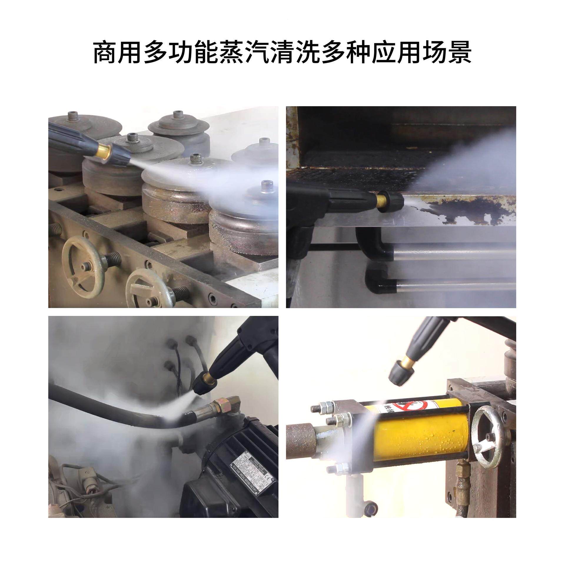 STM用-6高温933熏蒸高C压洁蒸汽清机德国AR泵专业耐工厂清洗设备
