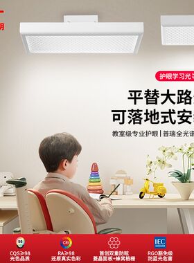 全光谱护眼家用教室灯格栅防眩落地台灯儿童书房学习灯平替大路灯