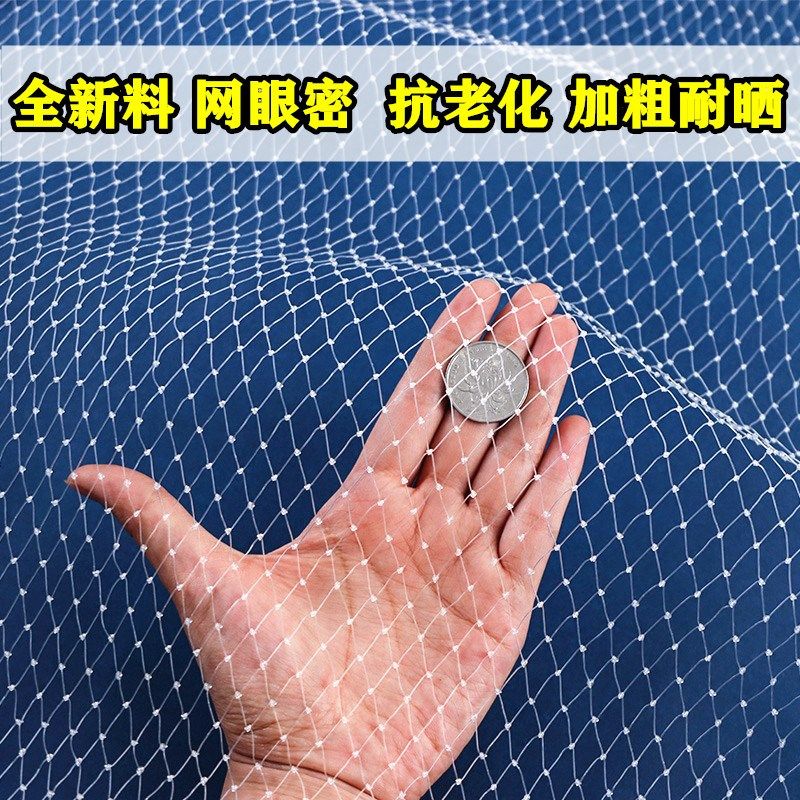 大棚草莓尼龙网果树防鸟用网阳台尼龙线丝网樱桃树罩果园纱网网子,农机/农具/农膜,农用防鸟网,淘宝优惠券,粉丝福利购,淘宝优惠卷