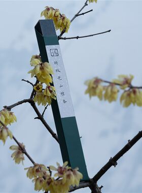 不秋草堂特级老山檀香 印度老山檀单品线香 日常用香
