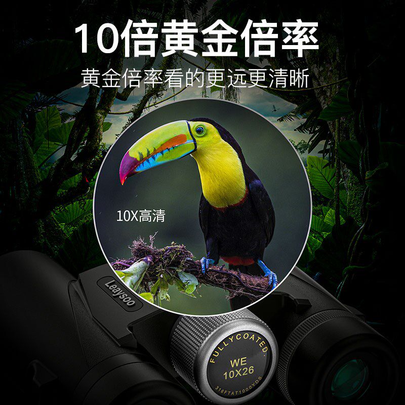 雷龙 猎影高清高倍大目镜广角微光夜视演唱会旅游便携双筒望远镜