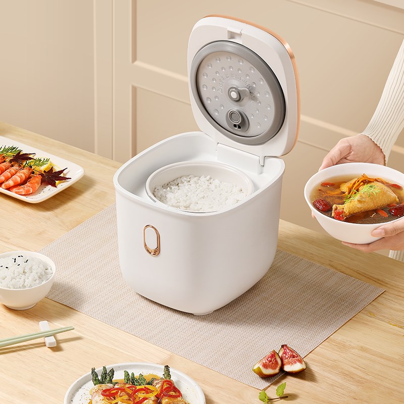 大宇电饭煲家用小型多功能宿舍宝宝辅食1.2升智能迷你电饭锅1-3人