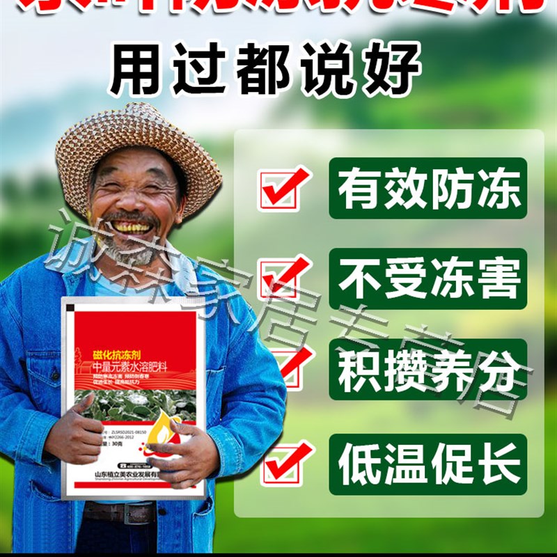 茶叶防冻剂冬季植物防冻防寒保温保暖液罩生根壮苗抗根腐叶子变黄