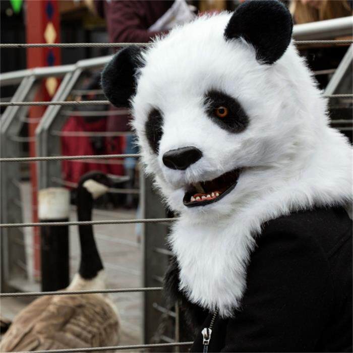 WILDBEAST新 可爱熊猫头套毛绒仿真动物面具人戴跨年道具嘴巴会动