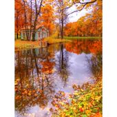 DIY数字油画自己填色银杏秋色枫红叶树林小路山水风景家居装 饰画