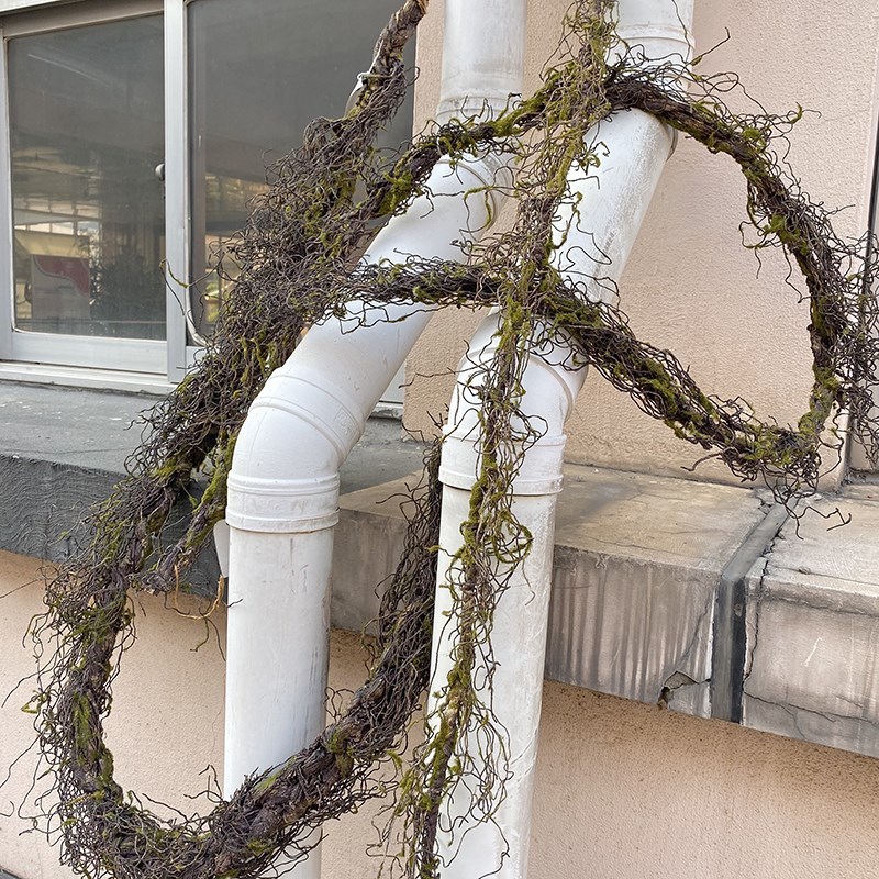 仿真藤枯树枝干藤森林藤条苔藓软条缠绕藤蔓植物婚庆柱子管墙装饰