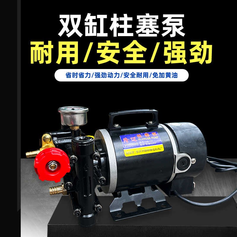 隆迈手提式打药机农用电动果树喷雾器12v60v24v220伏双缸柱塞泵