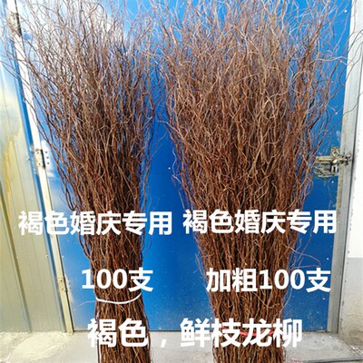 干枝干花鲜枝龙柳干枝,婚庆拱门,橱窗装饰花隔断龙桑干枝