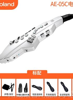 正品Rolan管d5罗兰电吹乐器AE芦01C AE0电子萨克斯娱乐初学管乐葫