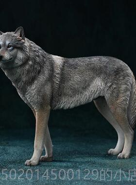 高档Jk拟白狼北极狼模型1/6模拟野生动x物周边图模家居高端饰品