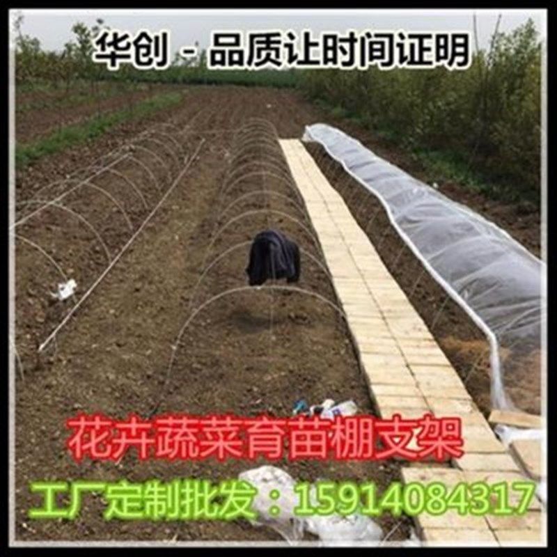 农用竿拱棚支架j地花卉小z.菜骨M架塑料蔬杆暖苗育棚,农机/农具/农膜,温室大棚支架,淘宝优惠券,粉丝福利购,淘宝优惠卷