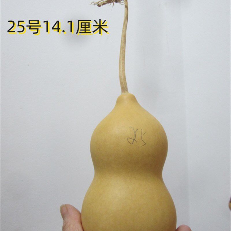 天然葫芦保定墩胖墩小葫芦大胖墩收藏把玩烙画原料一物一图现1-25