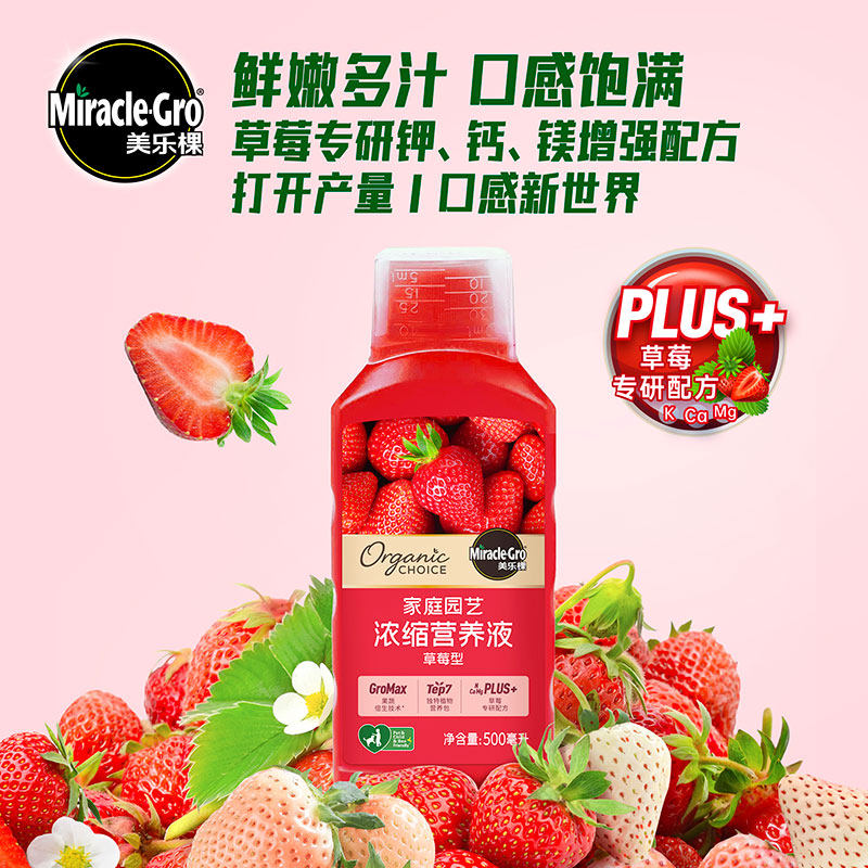 美乐棵草莓营养液家庭种植草莓专用钾钙镁配方增产易吸收水溶肥料,鲜花速递/花卉仿真/绿植园艺,家庭园艺肥料,淘宝优惠券,粉丝福利购,淘宝优惠卷