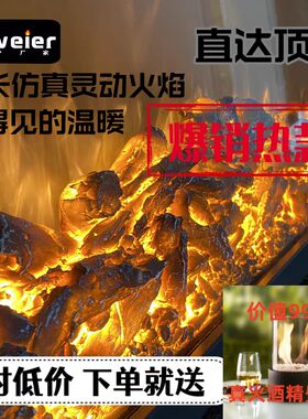 电子壁炉芯定制家用取暖器假火焰壁炉欧美装饰英法嵌入式火炉火光