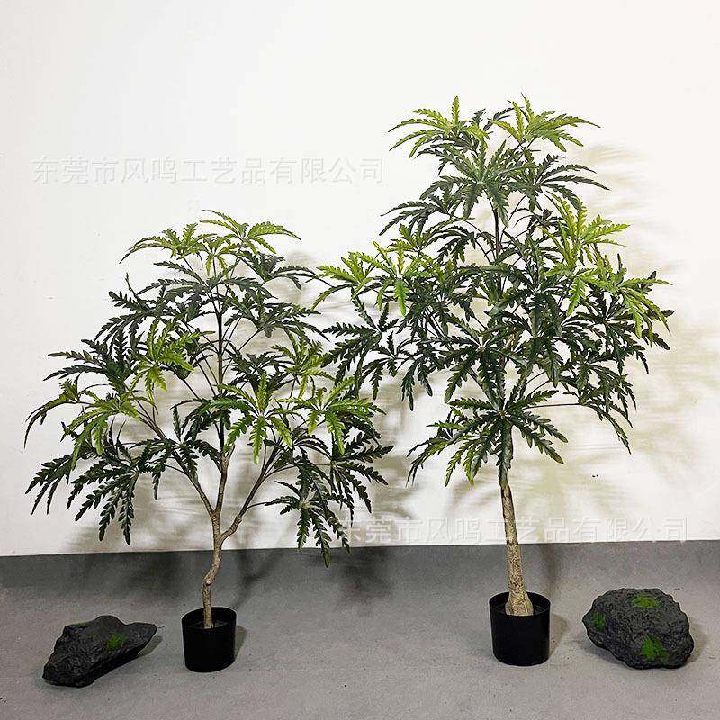 仿真孔雀木植物树家居装饰假植物落地绿植盆栽室内大型孔雀木绿植,鲜花速递/花卉仿真/绿植园艺,割草机/草坪机,淘宝优惠券,粉丝福利购,淘宝优惠卷