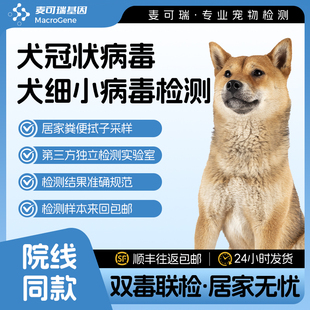 犬猫狗消化道荧光pcr核酸检测体检猫狗细小冠状寄生虫检测盒送检