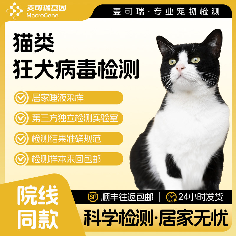 猫狗狂犬病毒检测荧光pcr核酸检测宠物体检非检测卡试纸,宠物/宠物食品及用品,体检服务,淘宝优惠券,粉丝福利购,淘宝优惠卷