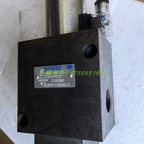 WOOUDE 电磁阀WDJF-DG-20B-2/CW220RNZ5L WDJF-DO-20B/CG24NZ5L