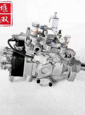 燃油泵22100-1C220适用柴油发动机VE喷油泵总成VE6/10F/900RND267