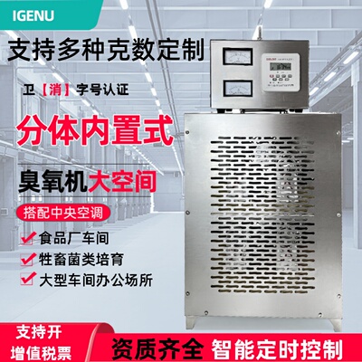 20g内置式臭氧消毒机食品厂车间仓库空气净化臭氧发生器