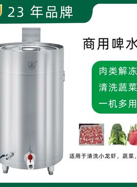 全自动啤水机啤肉机洗肉机解冻机商用肉类清洗机洗菜机餐饮