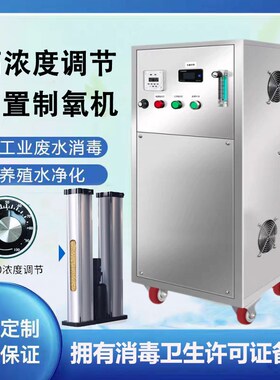 20g50g100g高浓度臭氧发生器水处理氧气源臭氧消毒机水产养殖脱色
