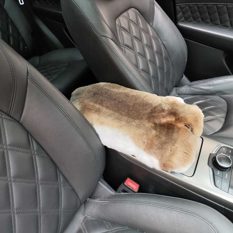 高端汽车扶手箱垫车用中央毛绒保暖加厚獭兔皮整张皮毛一体通用