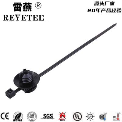 雷燕科技带杉树头和圆盘的汽车固定扎带 156-00610/T30RFT6SD