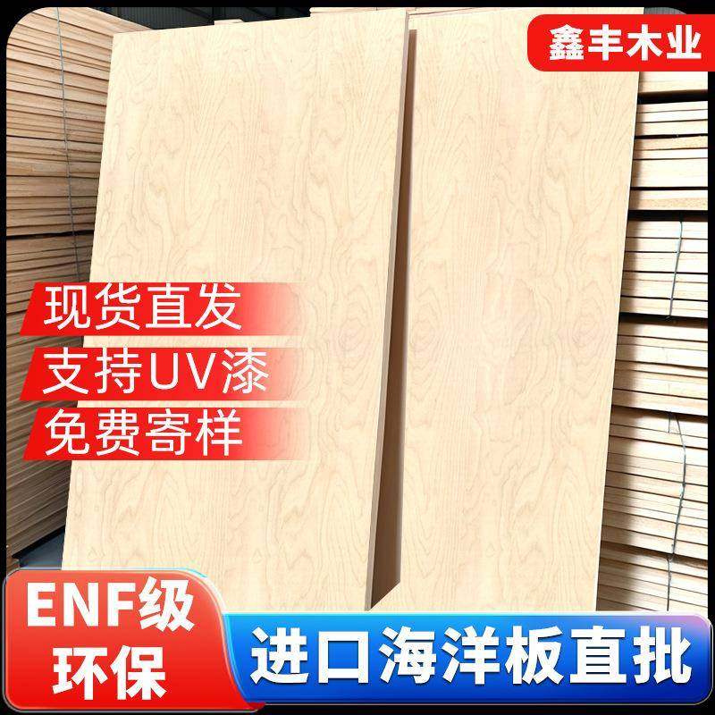 进口海洋板全桦木一手现货直发整板胶合木板环保防潮多种规格