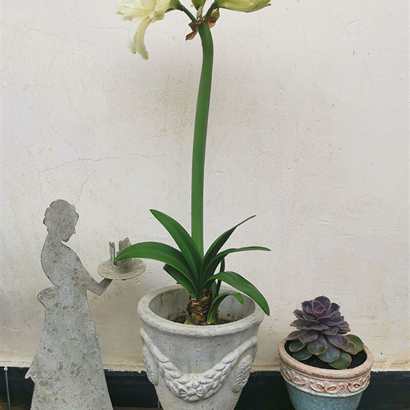 欧式风格陶艺花器 粗陶做旧麦穗花奖杯花盆 阳台花园庭院透气陶盆