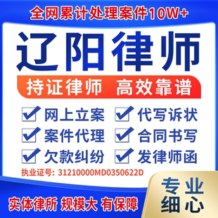 辽阳律师案件代理出庭律师咨询起诉状函代写离婚协议欠款纠纷合同