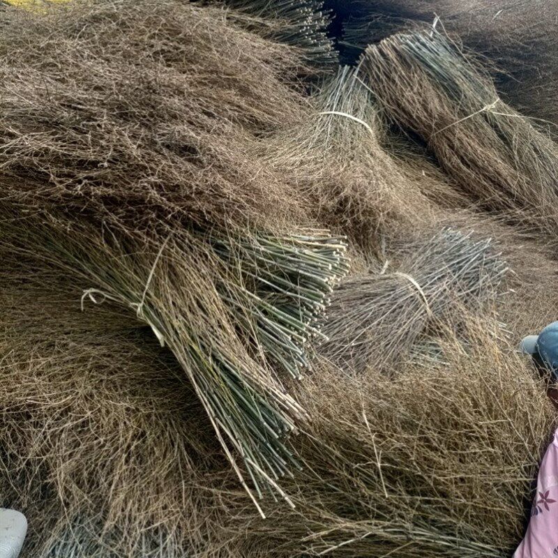 竹扫把材料楠竹枝扫把头大竹扫帚替换料环卫工用的便宜竹扫把头