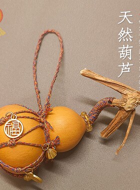 网兜葫芦带龙头天然葫芦汽车挂件创意手捻盘玩文玩小葫芦挂饰包挂
