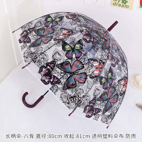 正品生ins风森系覆树古简学生日系小清新长柄约透明叶雨伞女高颜
