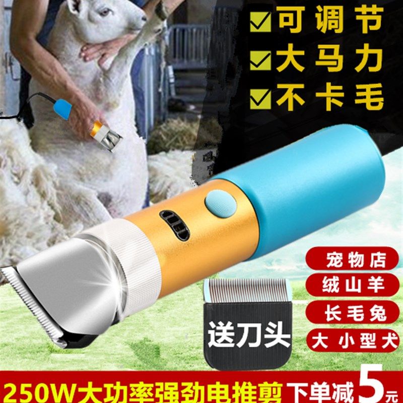 大功率绒山羊长毛兔剃毛器泰迪狗毛电推剪电动推子狗狗宠物剪毛器,宠物/宠物食品及用品,理毛器/电推剪,淘宝优惠券,粉丝福利购,淘宝优惠卷