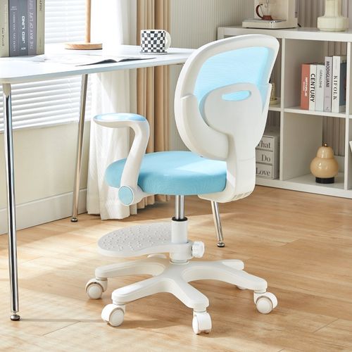 儿童学习椅可升降调节座椅家用书桌椅子小学生矫正坐姿靠背写字椅