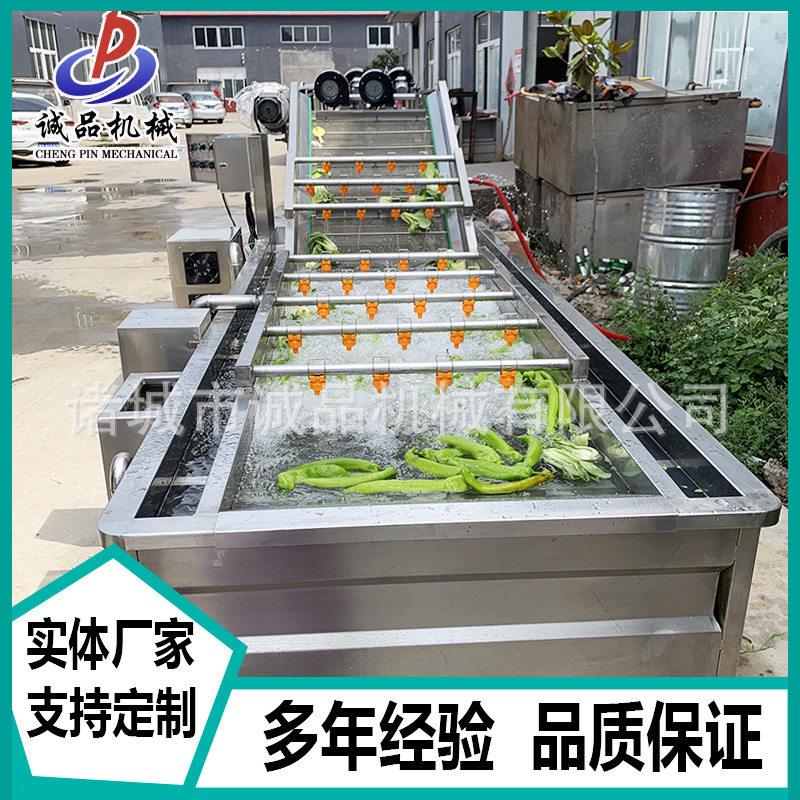 定制青椒辣椒清洗机芹菜韭菜气泡清洗机生姜材气泡清洗机