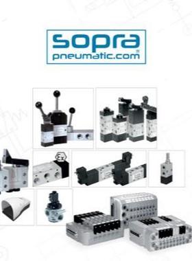 SAOPR-P缸NEUMA杆TIC活塞气/SOPRA-660PNEUMATIC旋转气缸