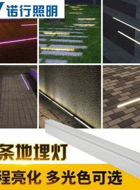 坪LED户外埋防水式长条地NX-DMD-1灯嵌入广场过道灯草灯长条线条