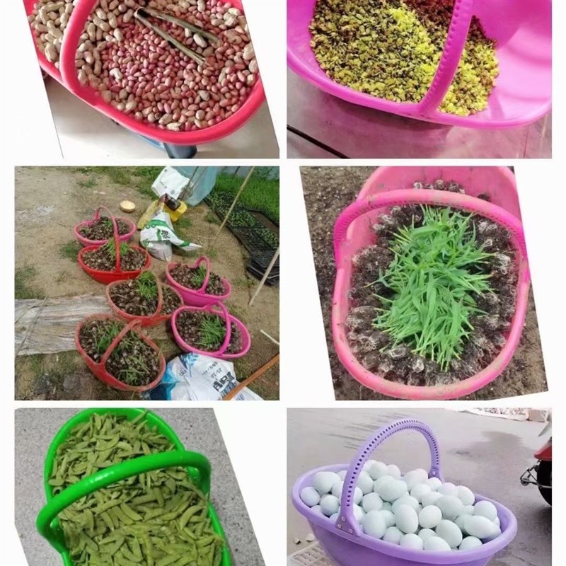 农用手提篮塑料手提篮加厚熟胶果蔬采摘篮沥水篮竹篮挎篮筐子